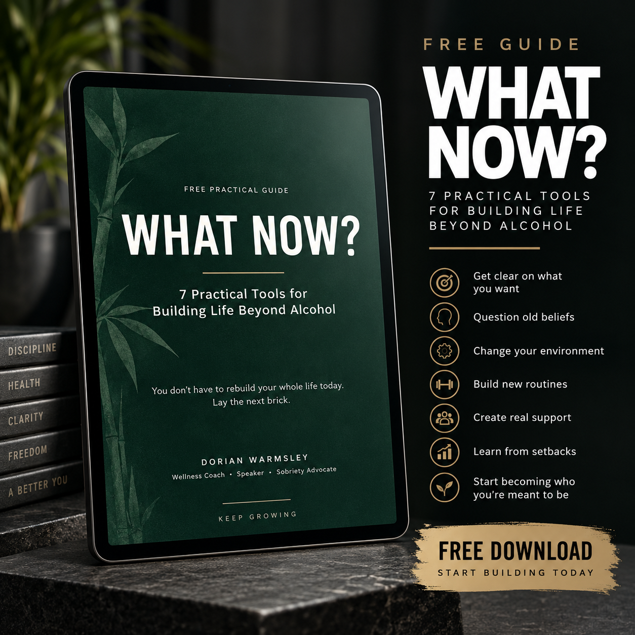 WHAT NOW? — 7 Practical Tools for Building Life Beyond Alcohol.