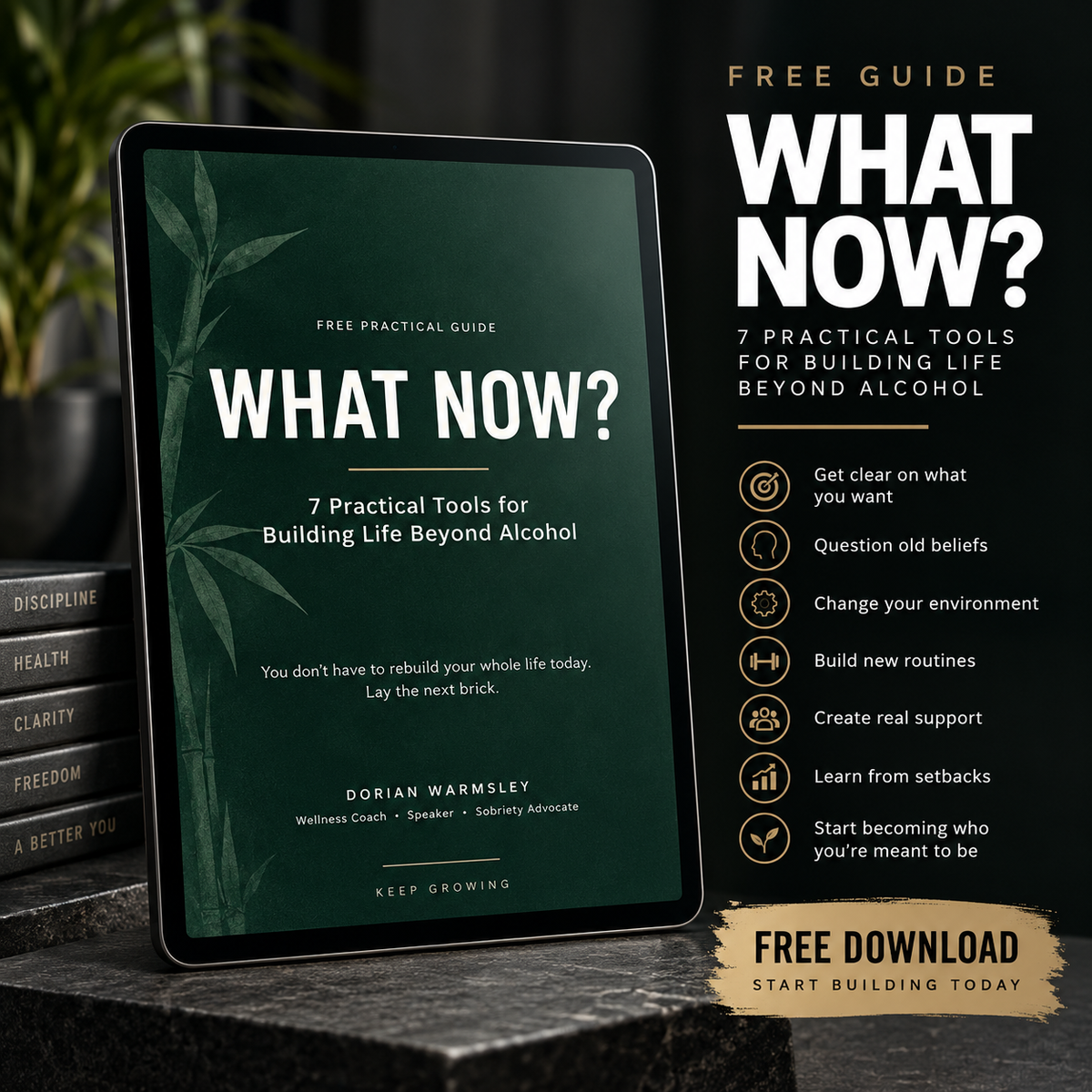 WHAT NOW? — 7 Practical Tools for Building Life Beyond Alcohol.
